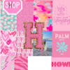 haileymcdona491
